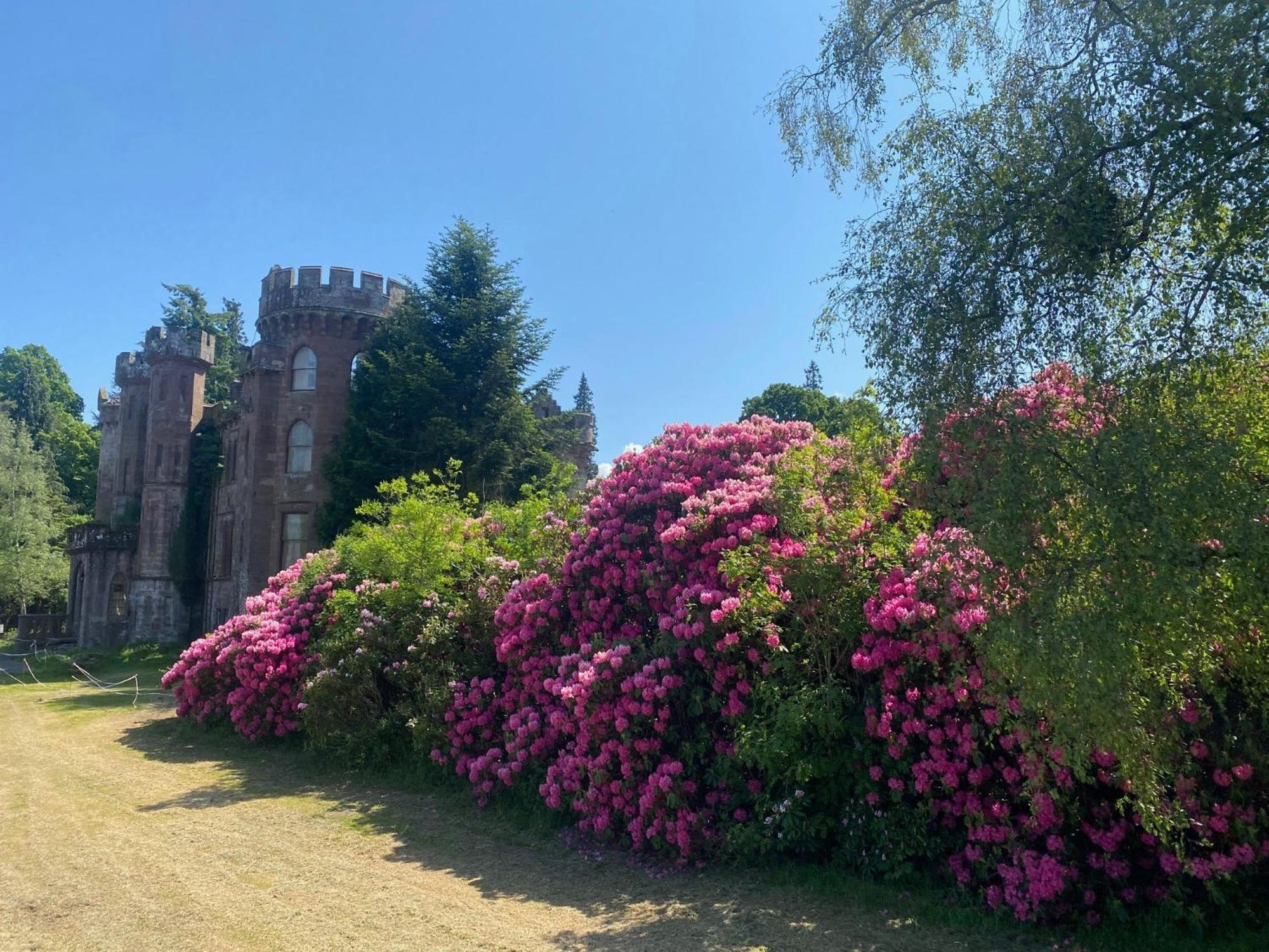 Luxury Woodland Lodge Retreat At Culdees Castle Crieff Εξωτερικό φωτογραφία