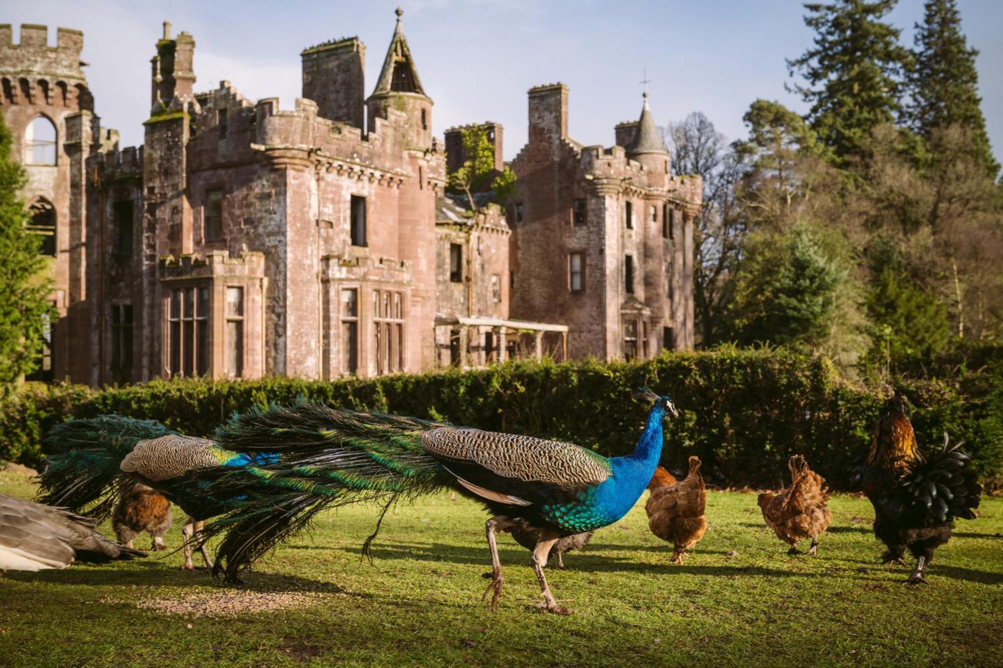 Luxury Woodland Lodge Retreat At Culdees Castle Crieff Εξωτερικό φωτογραφία